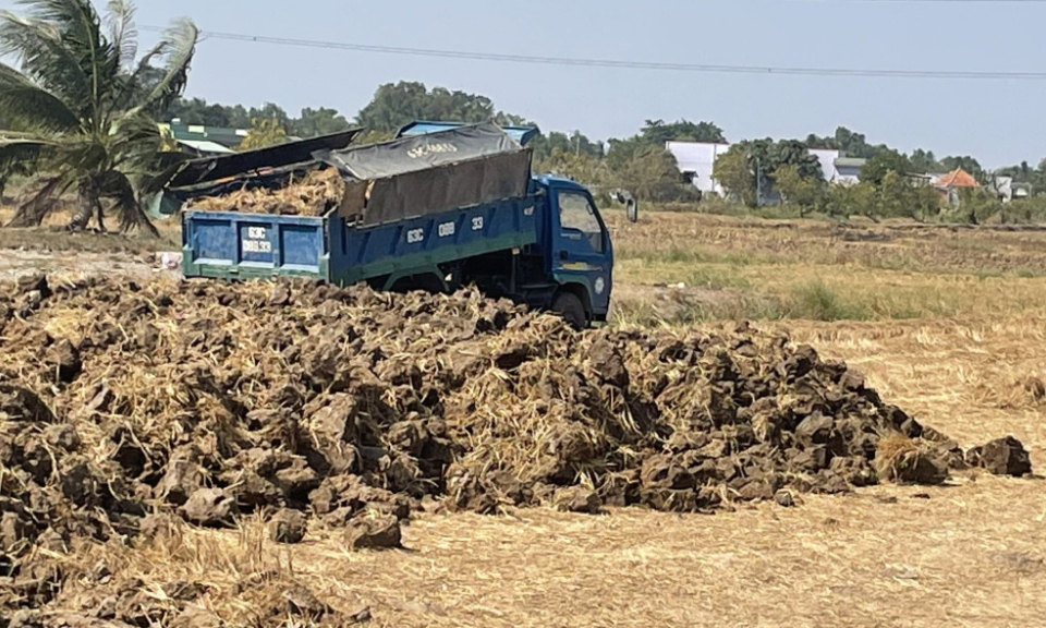 Tân Trụ: Xử lý nghiêm trường hợp tự ý hạ mặt bằng đất sản xuất nông nghiệp