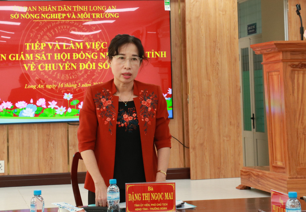 Phó Chủ tịch HĐND tỉnh - Đặng Thị Ngọc Mai phát biểu kết luận