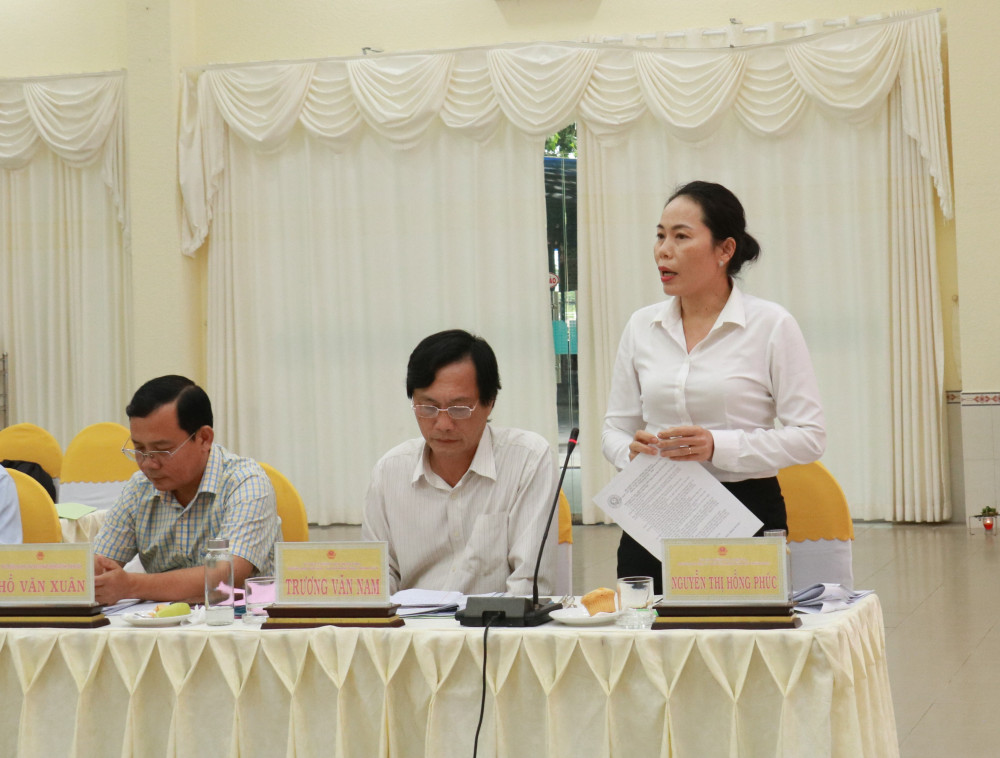 Đại biểu nêu ý kiến