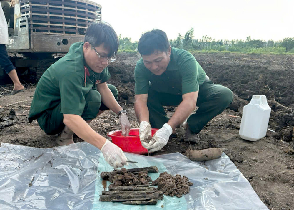 Ban Chỉ đạo 24 huyện Bến Lức phối hợp cấp ủy, chính quyền địa phương quy tập hài cốt liệt sĩ