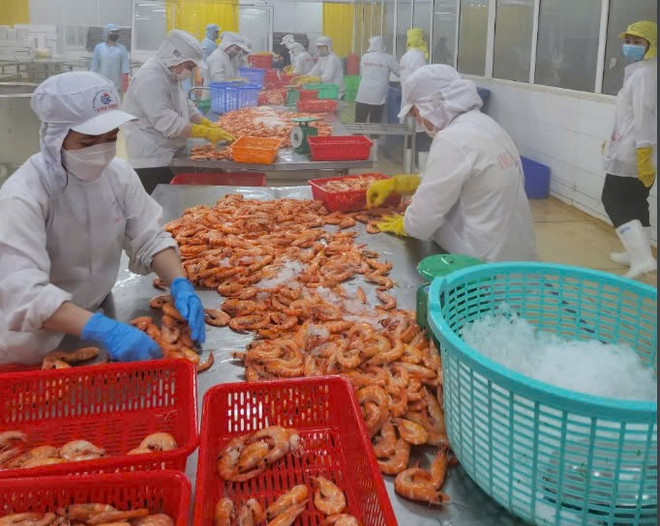 Nhiều doanh nghiệp lo tỷ giá tăng. (Ảnh: Vietnam+)