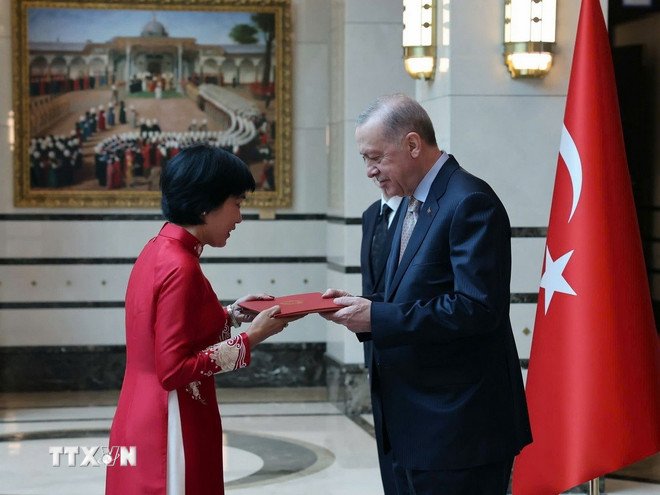 Đại sứ Đặng Thị Thu Hà trình Quốc thư lên Tổng thống Thổ Nhĩ Kỳ Recep Tayyip Erdoğan. (Ảnh: TTXVN phát)