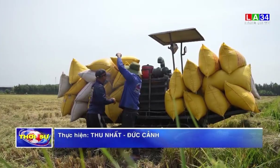 Long An: Cơ bản thu hoạch dứt điểm lúa Đông Xuân 2024 - 2025