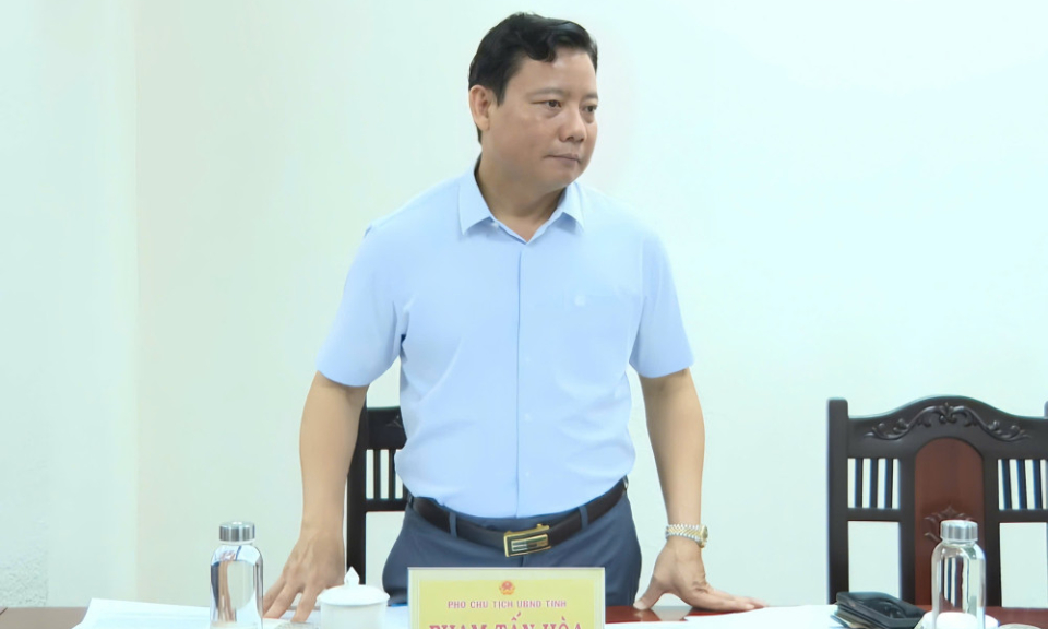 UBND tỉnh làm việc với Tiểu ban giúp việc Ban Chỉ đạo về phát triển khoa học, công nghệ, đổi mới sáng tạo, chuyển đổi số và Đề án 06