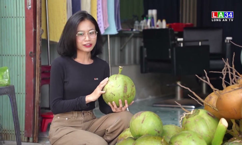 Giá dừa tăng kỷ lục, nông dân Long An phấn khởi 