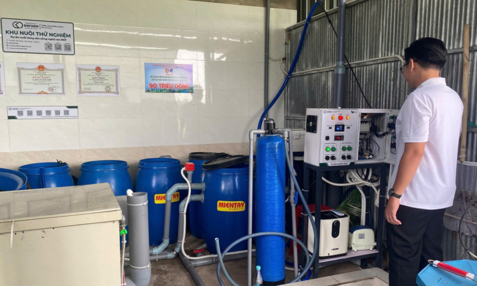 Người trẻ mạnh dạn khởi nghiệp