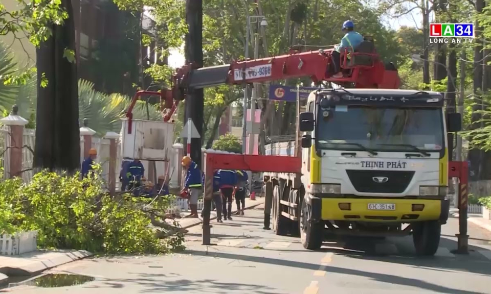 Tân An: Tiếp tục chặt tỉa cây xanh đề phòng đổ, ngã trong mùa mưa