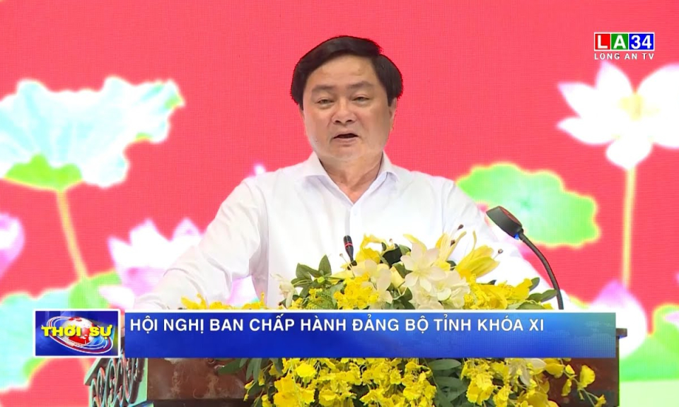 Hội nghị Ban Chấp hành Đảng bộ tỉnh khóa XI