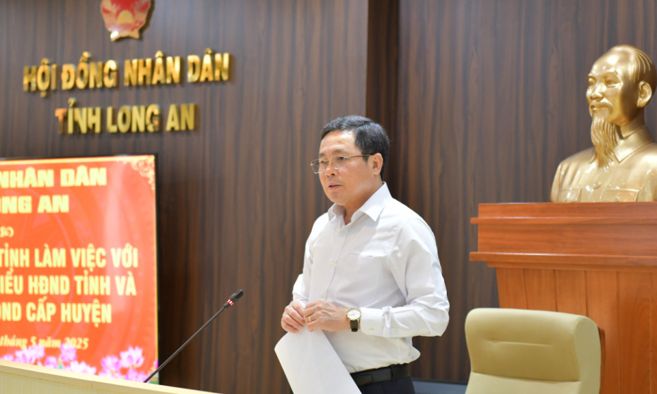 Thường trực HĐND tỉnh làm việc với Tổ trưởng Tổ đại biểu HĐND tỉnh và Thường trực HĐND cấp huyện