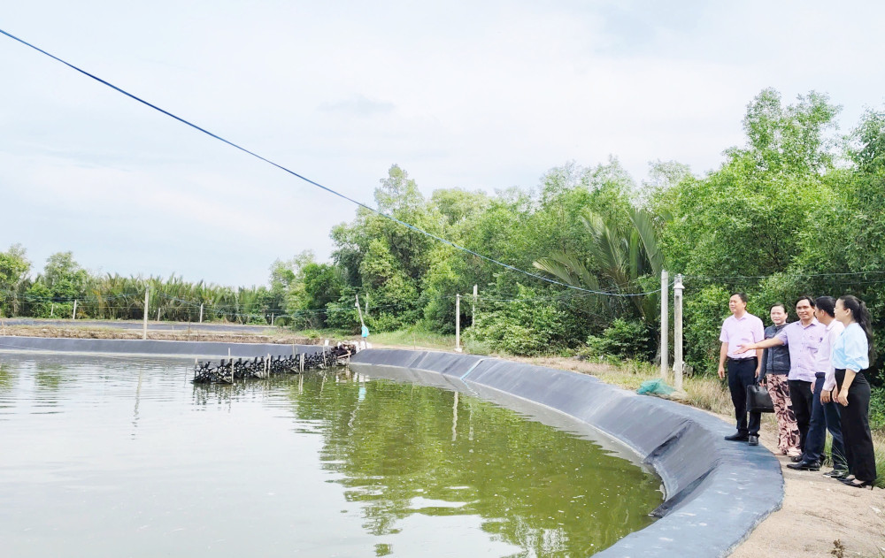 Phòng Giao dịch Ngân hàng Chính sách xã hội huyện Cần Giuộc kiểm tra việc sử dụng nguồn vốn vay của khách hàng