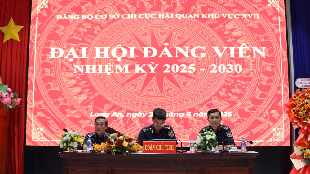 Đảng bộ cơ sở Chi cục Hải quan khu vực XVII có 12 Chi bộ trực thuộc, hoạt động tại địa bàn 3 tỉnh Long An, Tiền Giang và Bến Tre
