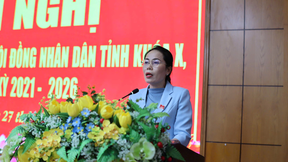 Các đại biểu HĐND tham luận tại hội nghị