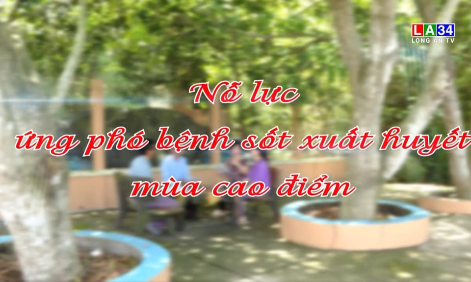 Phóng sự: Nỗ lực ứng phó bệnh sốt xuất huyết mùa cao điểm