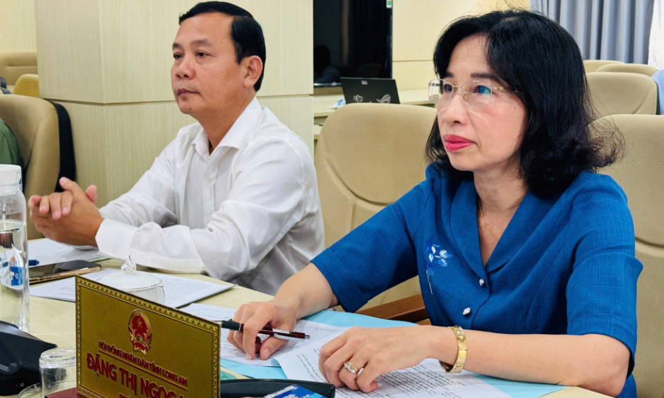 Diễn tập 'Phiên họp giải trình giả định của Thường trực HĐND trẻ em năm 2025'