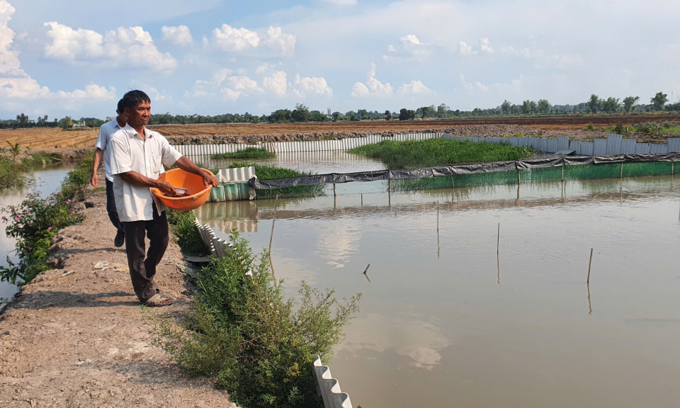 Triển vọng từ nuôi ba ba