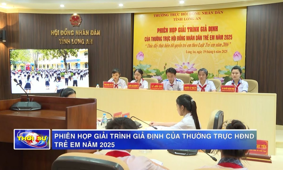Phiên họp giải trình giả định của Thường trực HĐND trẻ em năm 2025