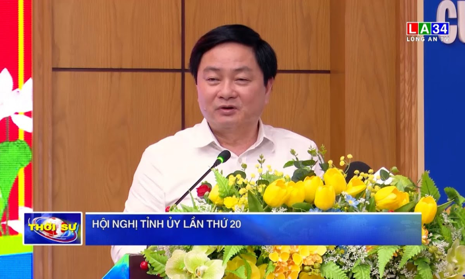 Hội nghị Tỉnh uỷ lần thứ 20