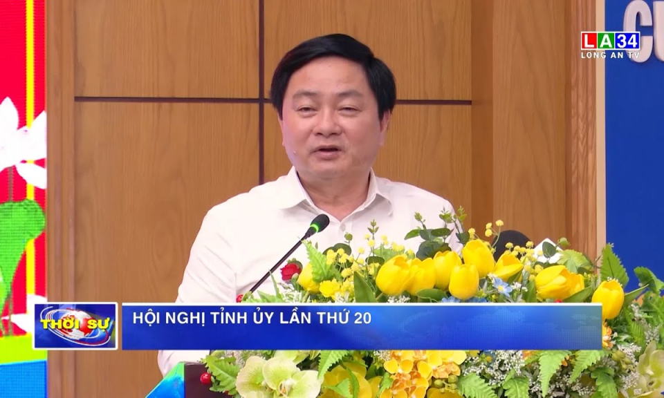 Hội nghị Tỉnh uỷ lần thứ 20