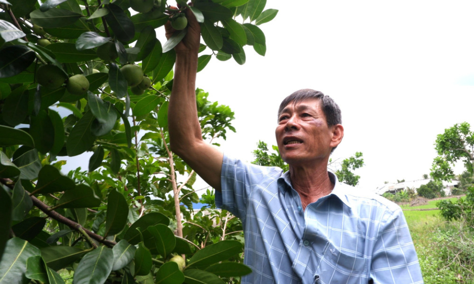 Thay đổi tư duy nông nghiệp