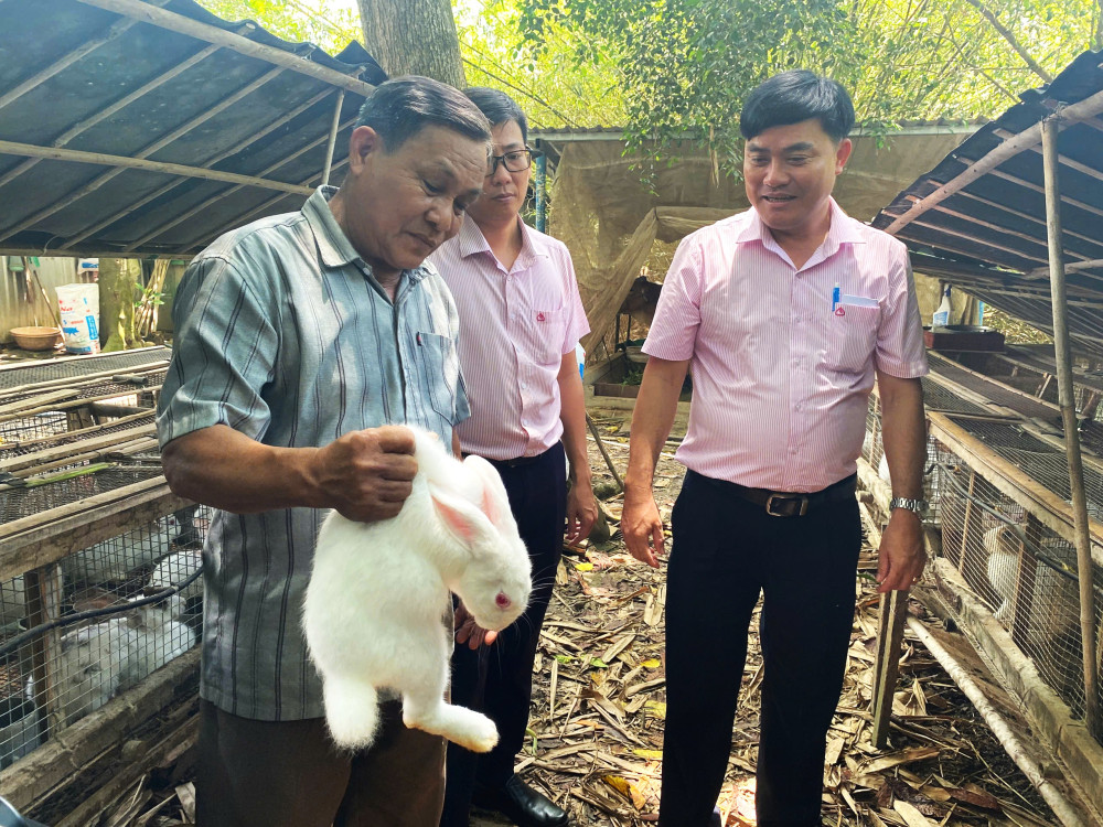 Nguồn vốn tín dụng chính sách xã hội giúp ông Phụng phát triển mô hình chăn nuôi thỏ