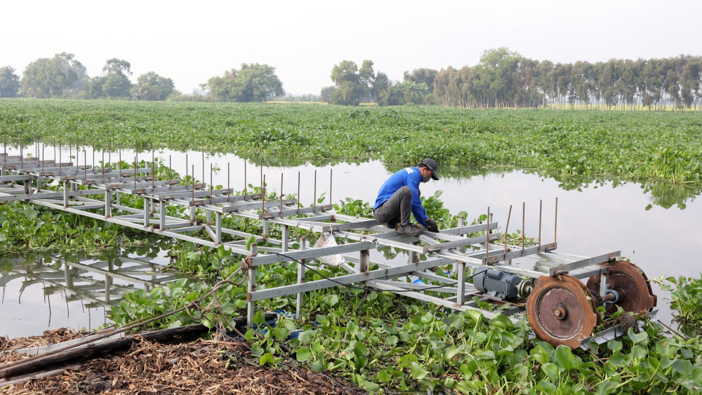 Đơn vị xử lý trên sông Vàm Cỏ Đông chế tạo thiết bị phục vụ trục vớt lục bình