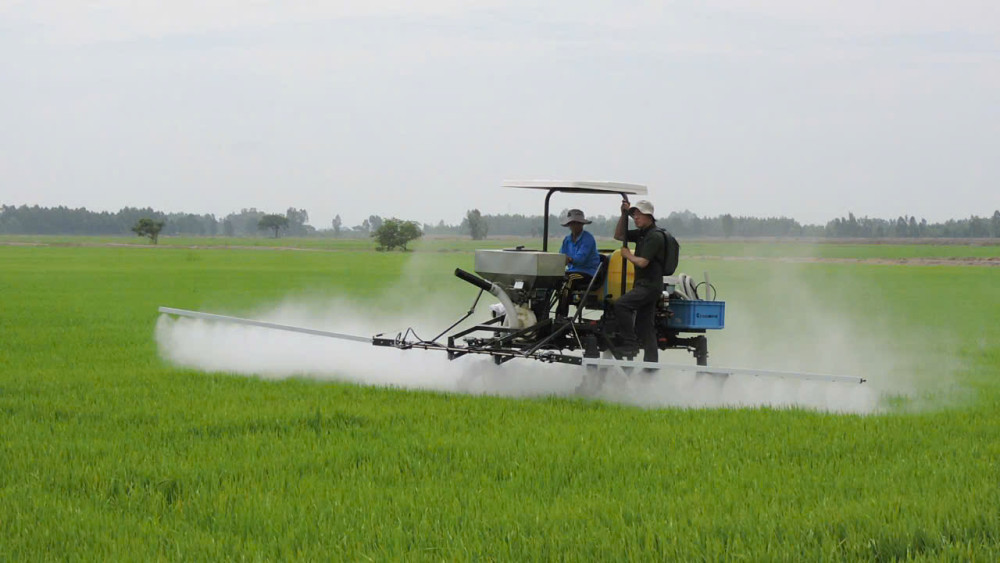 Nông dân phun xịt thuốc phòng trừ sâu, bệnh trên lúa Hè Thu 2025