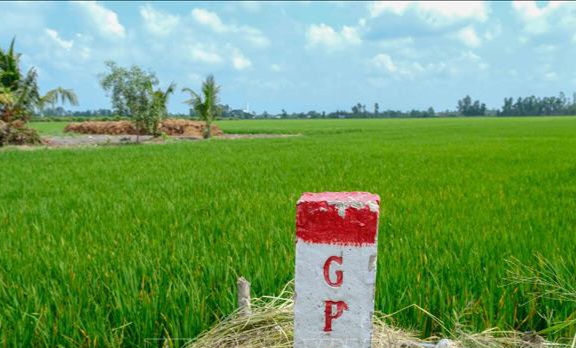 Dự án thành phần 2 là giải phóng mặt bằng phục vụ thi công cầu và đường dẫn, có tổng diện tích thu hồi khoảng 89,35ha, đi qua địa bàn 6 xã: Cần Giuộc, Mỹ Lệ, Cần Đước, Vàm Cỏ, Tân Trụ và Tầm Vu