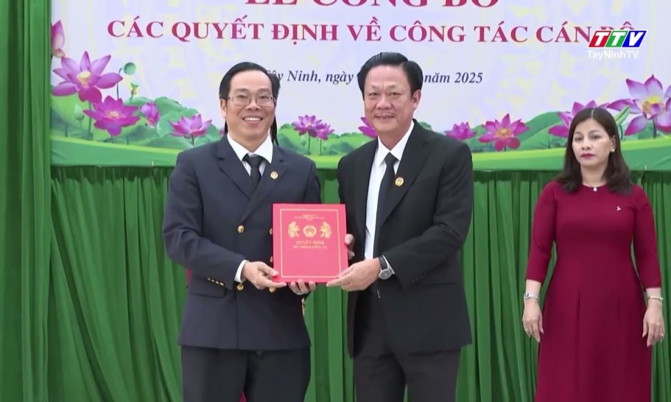 Tòa án nhân dân tỉnh bổ nhiệm lãnh đạo các Tòa, phòng chuyên trách