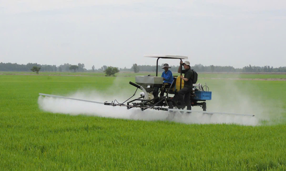 Theo sát đồng ruộng, phòng trừ sâu, bệnh gây hại lúa