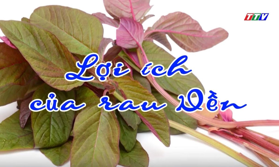 Món ăn bài thuốc: Lơị ích của rau dền