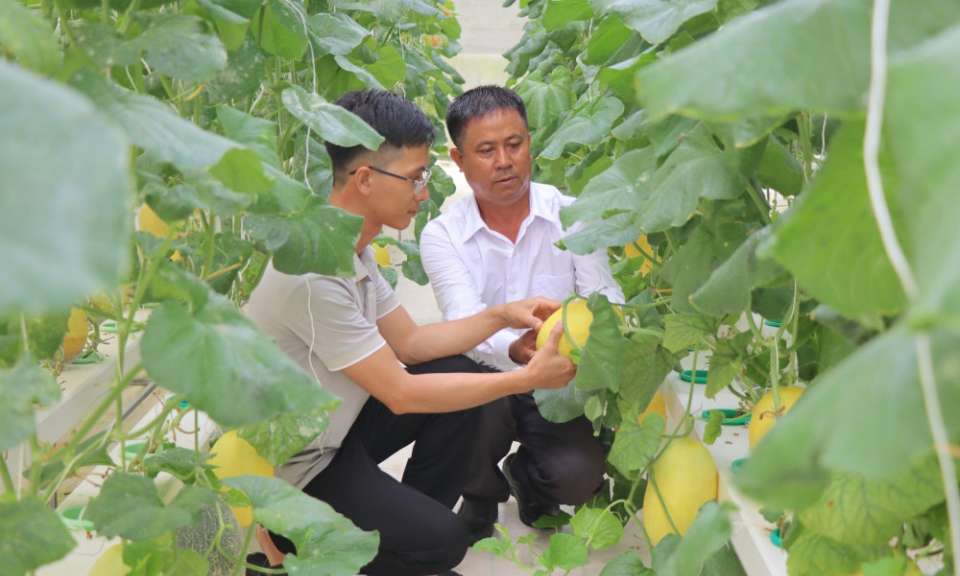 Khởi nghiệp từ nông nghiệp ứng dụng công nghệ cao