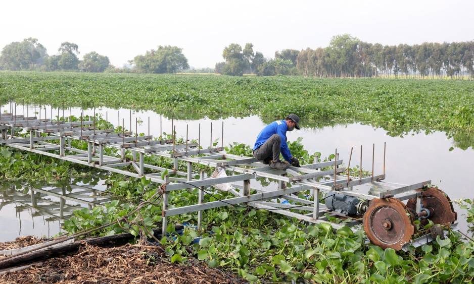 Cần trang bị thêm phương tiện xử lý lục bình trên sông Vàm Cỏ Đông