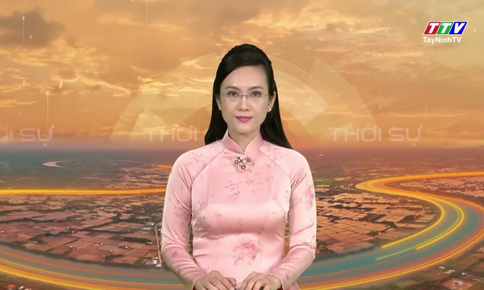 Đến năm 2030 duy trì diện tích trồng cây cao su đạt 80.000ha
