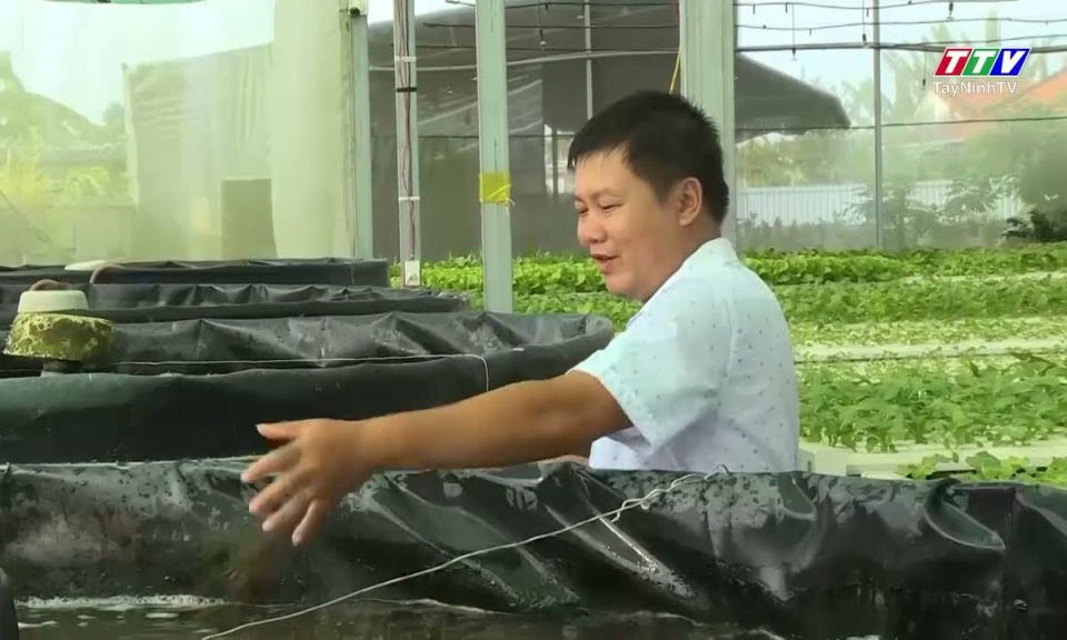 Triển khai nhiều mô hình sản xuất mới