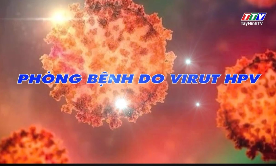 Sức khoẻ & Đời sống: Phòng bệnh do Virus HPV