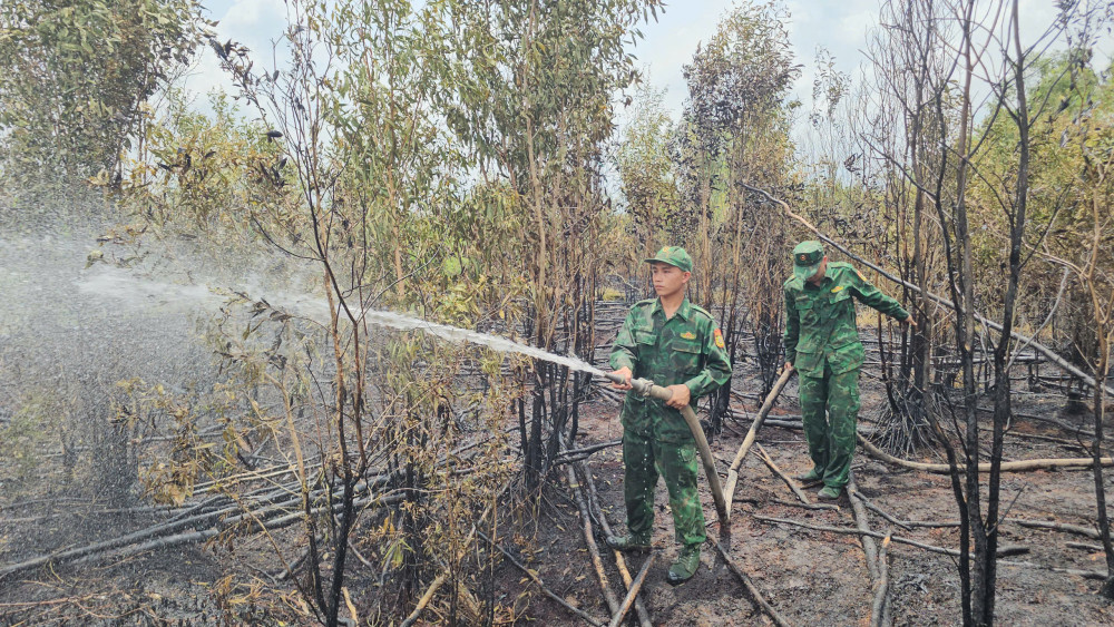 Đồn Biên phòng Mỹ Thạnh Tây huy động lực lượng khẩn trương dập tắt đám cháy rừng 