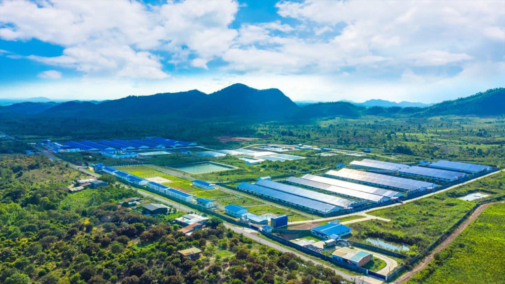 Trang trại DHN do Tập đoàn Hùng Nhơn phát triển cùng Tập đoàn De Heus tại Tây Ninh là một trong những liên doanh có quy mô lớn nhất Việt Nam trong lĩnh vực nông nghiệp với mục tiêu chinh phục thị trường Halal