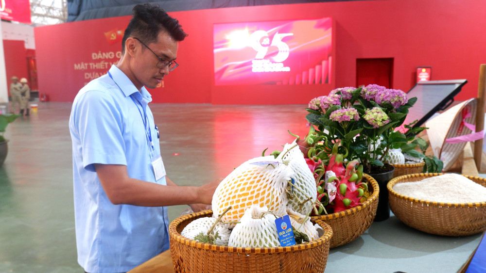 Trái cây Tây Ninh được trưng bày tại triển lãm