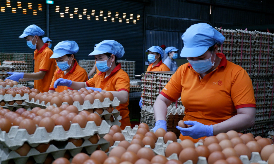 Halal Market - Great Opportunity for Tay Ninh Enterprises