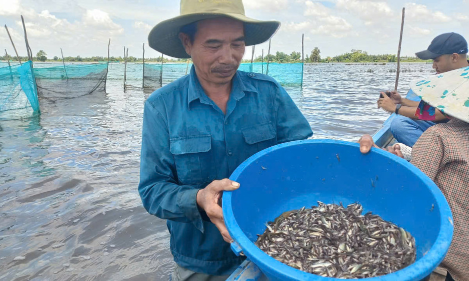 Thủy sản mùa nước nổi chưa nhiều