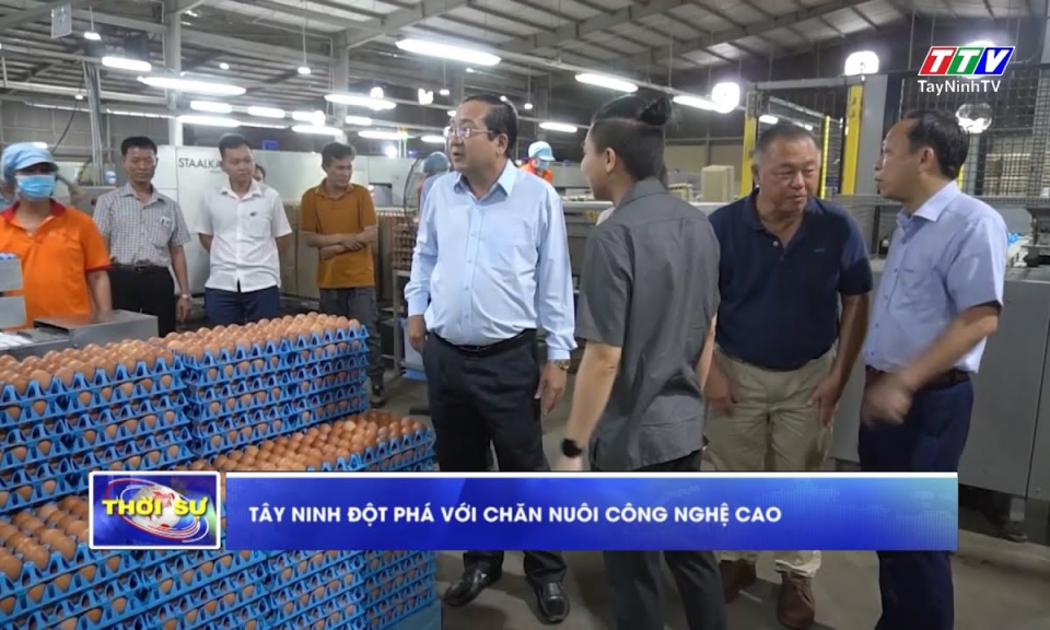 Tây Ninh đột phá với chăn nuôi công nghệ cao