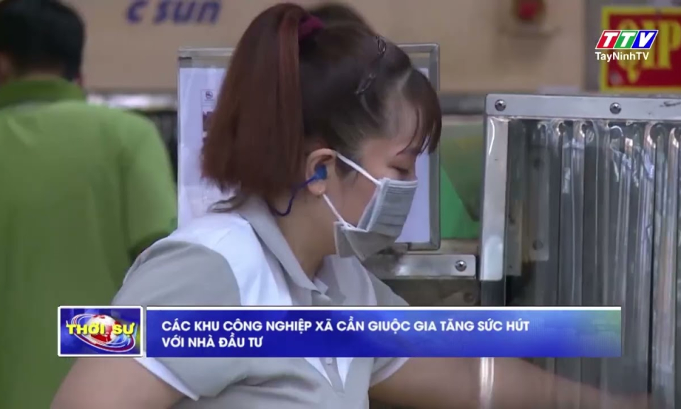 Các khu công nghiệp xã Cần Giuộc gia tăng sức hút với nhà đầu tư