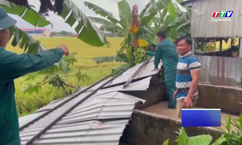 Bình Hiệp: Lực lượng dân quân kịp thời hỗ trợ người dân khắc phục sự cố do giông lốc