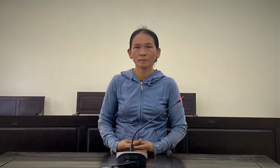 Dùng 2 giấy tờ đất giả để vay tiền nhưng bị phát hiện khi giao dịch