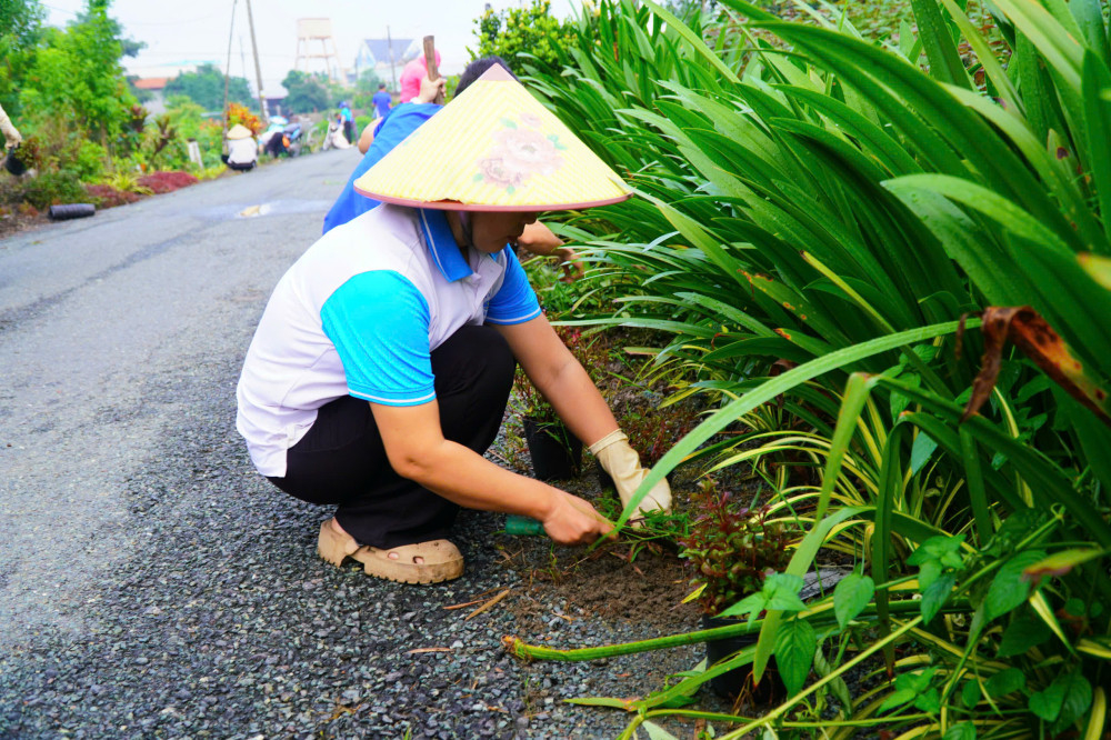 Hội viên phụ nữ, thanh niên, nông dân, cựu chiến binh, Ban công tác mặt trận ấp tham gia nhổ cỏ, trồng hoa tuyến đường Nguyễn Thị Thàng