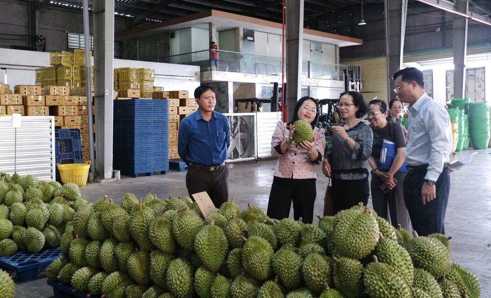 Phó Giám đốc Sở Nông nghiệp và Môi trường Đinh Thị Phương Khanh (thứ 2, từ trái sang) khảo sát các cơ sở đóng gói trái cây xuất khẩu