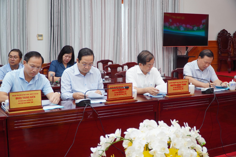 Các thành viên Ban Chỉ đạo tham dự phiên họp