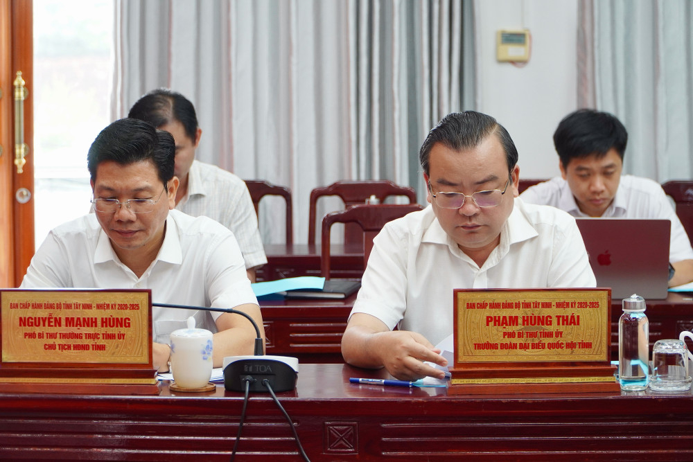 Thành viên Ban Chỉ đạo tham dự phiên họp
