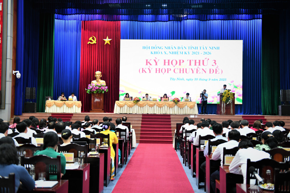 Các đại biểu dự kỳ họp