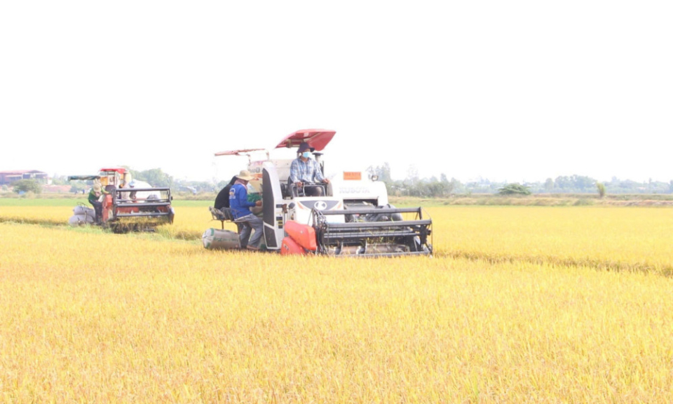 Promoting advantages to elevate high-tech agriculture